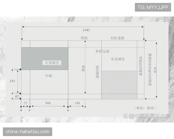 球场尺寸规则解读：长度、宽度与关键测量标准